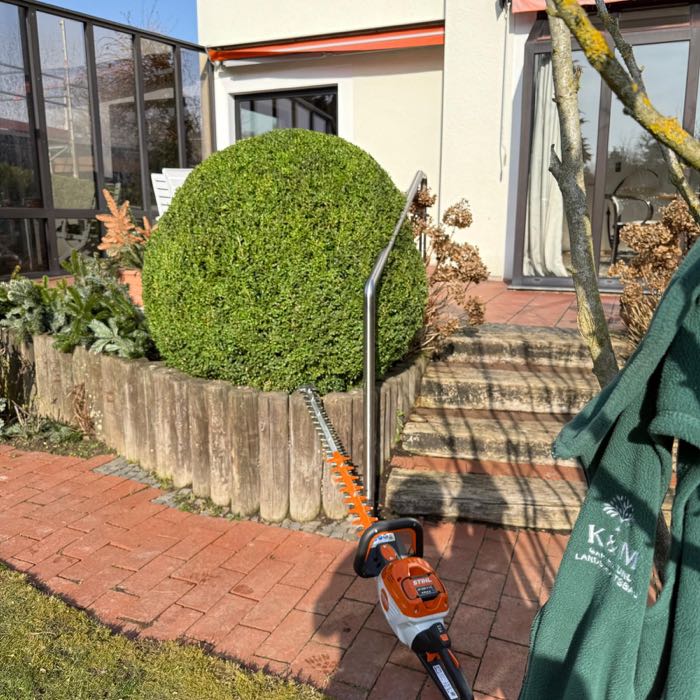 Buchsschnitt an der Eingangstreppe