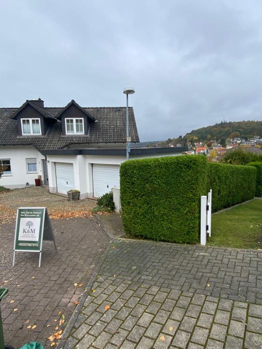 Hecke an der Einfahrt