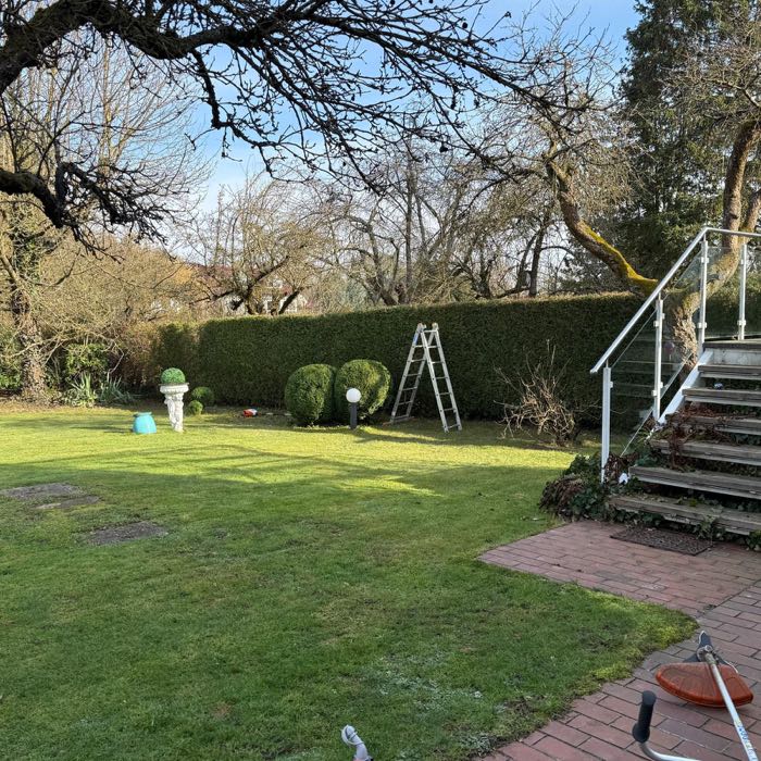 Rasen und Hecke nach der Pflege