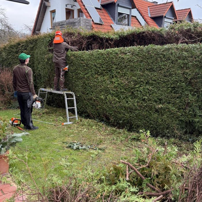 Hohe Hecke – Schnitt mit Leiter