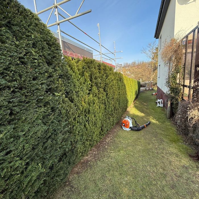 Hecke am Gartenweg