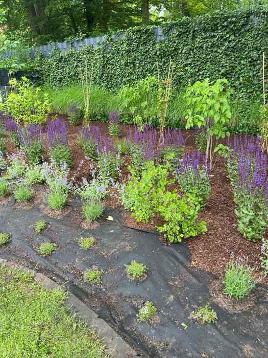 Mulch & Beetpflege