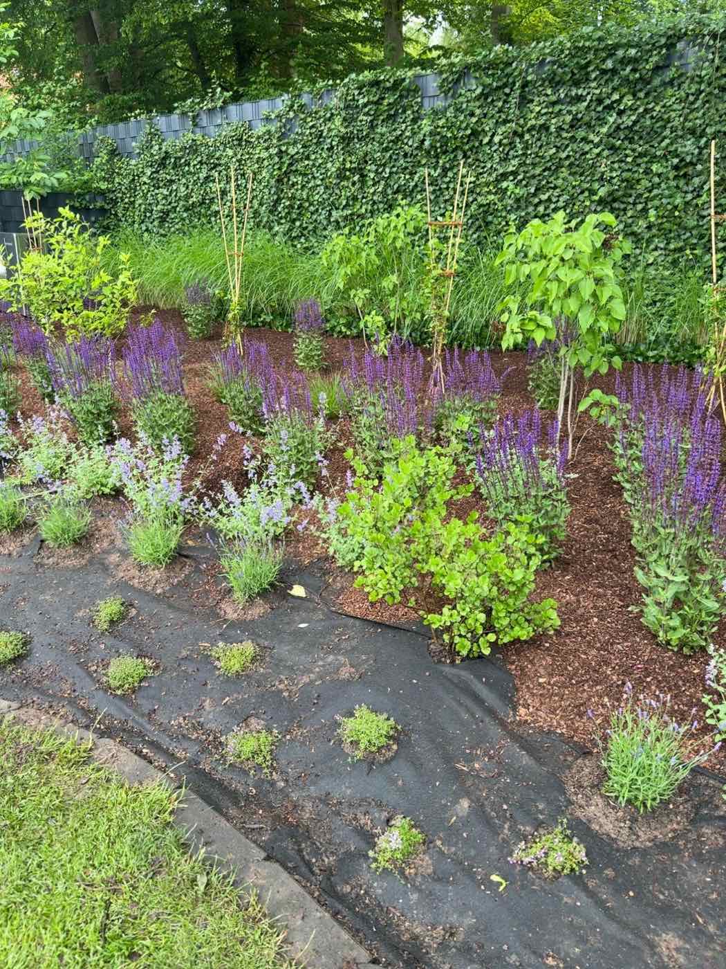 Mulch & Beetpflege